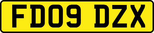 FD09DZX