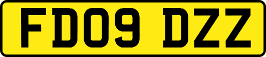 FD09DZZ