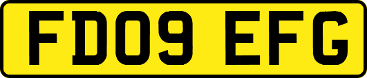 FD09EFG