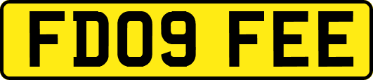 FD09FEE
