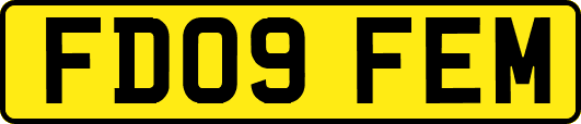 FD09FEM