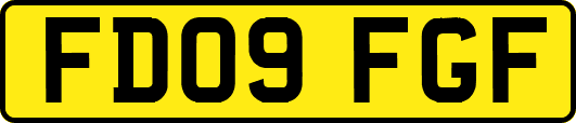 FD09FGF