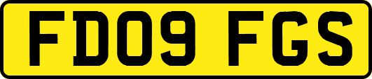 FD09FGS