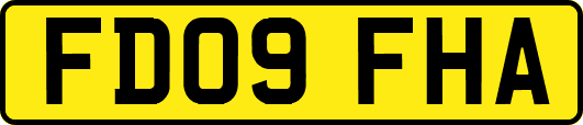 FD09FHA