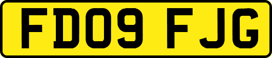 FD09FJG