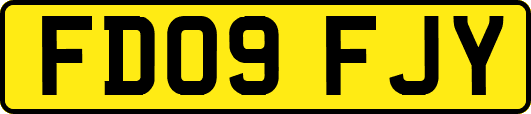FD09FJY