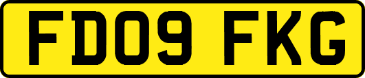 FD09FKG