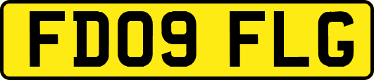 FD09FLG
