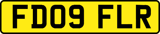 FD09FLR