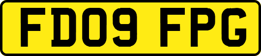 FD09FPG