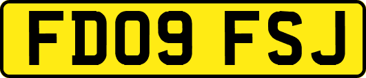 FD09FSJ