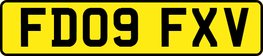 FD09FXV