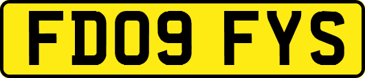 FD09FYS