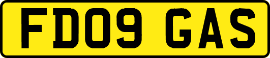 FD09GAS