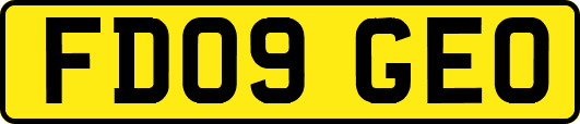 FD09GEO