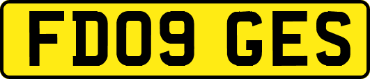 FD09GES