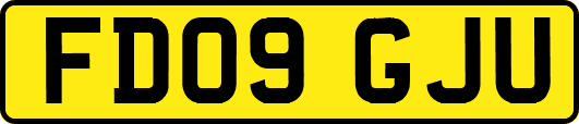 FD09GJU
