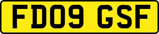 FD09GSF