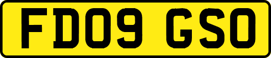 FD09GSO