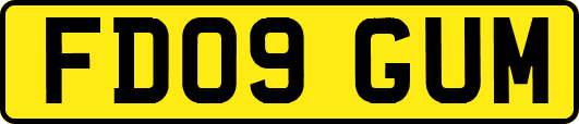 FD09GUM