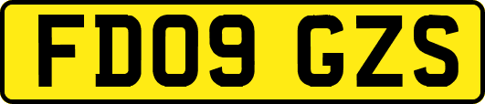 FD09GZS