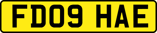 FD09HAE