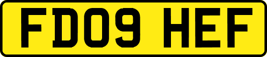 FD09HEF