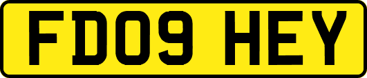 FD09HEY