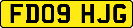 FD09HJG