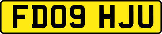 FD09HJU
