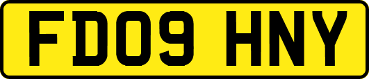 FD09HNY