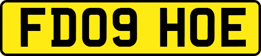 FD09HOE