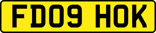 FD09HOK