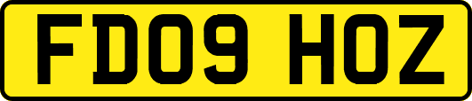FD09HOZ