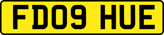 FD09HUE