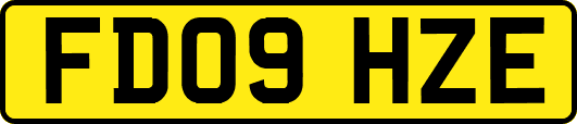 FD09HZE