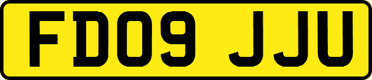 FD09JJU