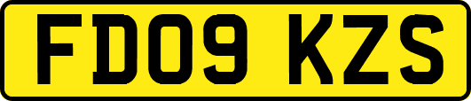 FD09KZS