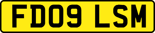 FD09LSM
