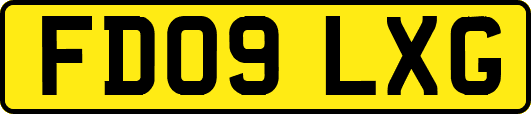 FD09LXG