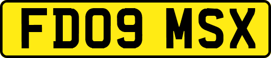 FD09MSX