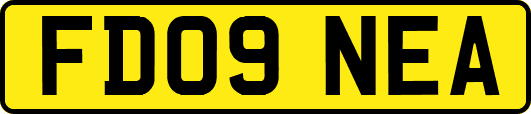 FD09NEA