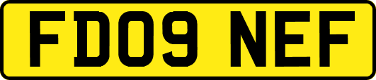 FD09NEF