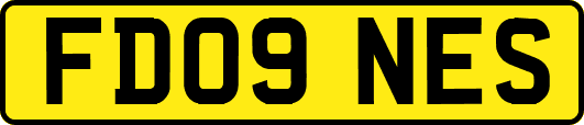 FD09NES