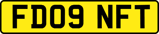 FD09NFT