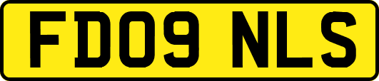 FD09NLS