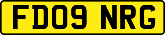 FD09NRG