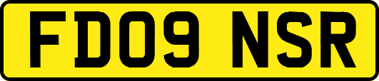 FD09NSR