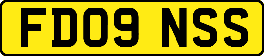 FD09NSS