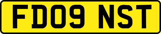 FD09NST